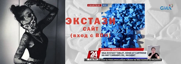 СК Бронницы
