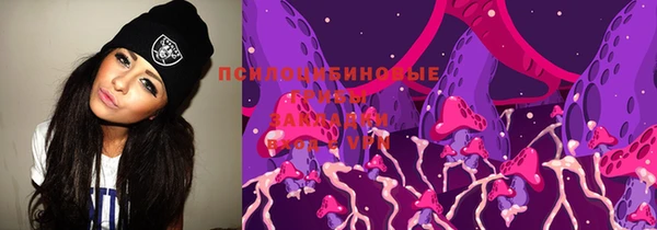 СК Бронницы