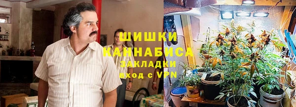 СК Бронницы