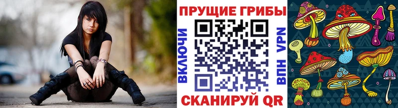 Псилоцибиновые грибы мухоморы Данилов